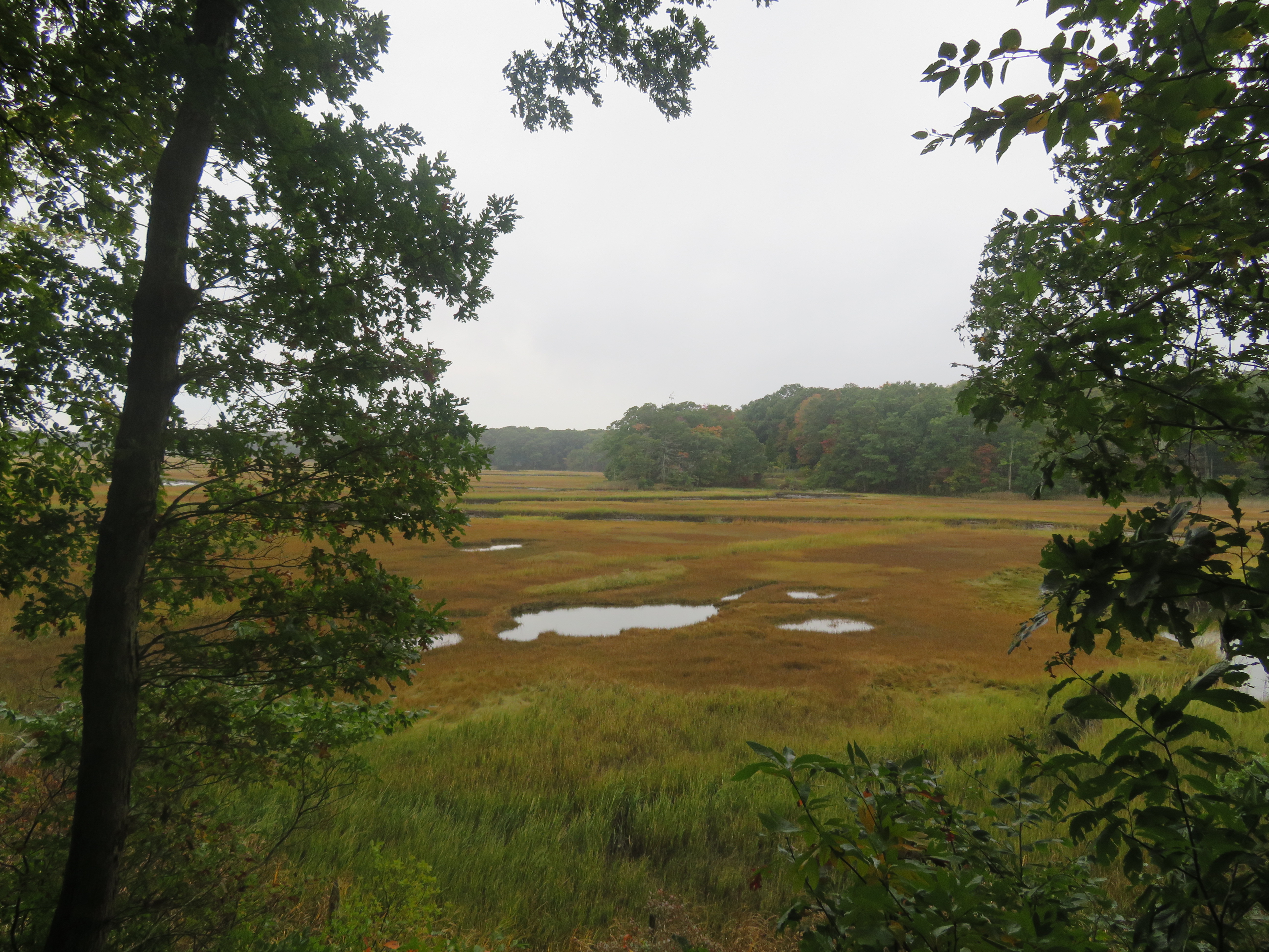 Stewart B. McKinney National Wildlife Refuge, Connecticut | Julie Journeys