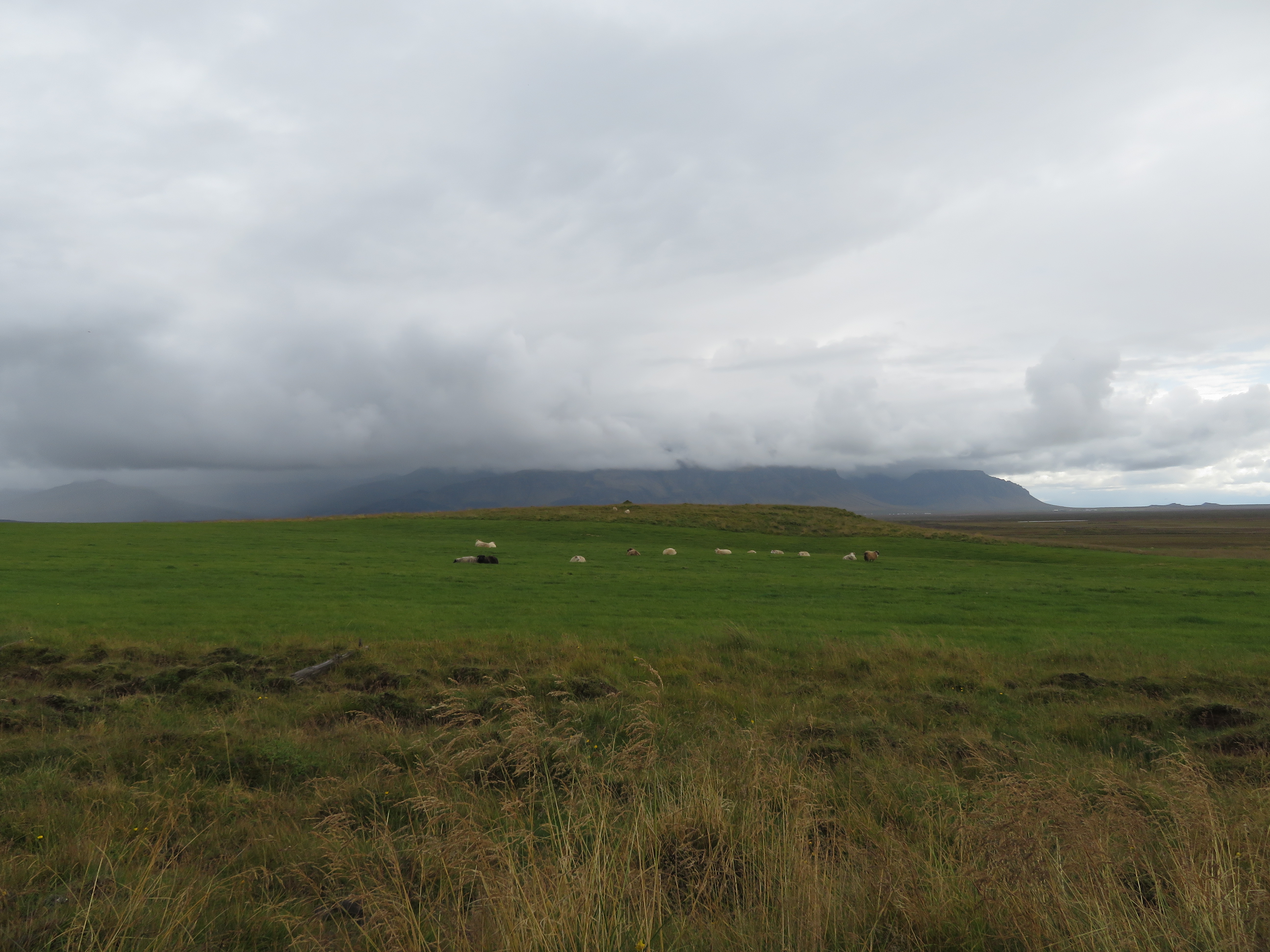 Gerðuberg_Cliffs_iceland_3 | Julie Journeys